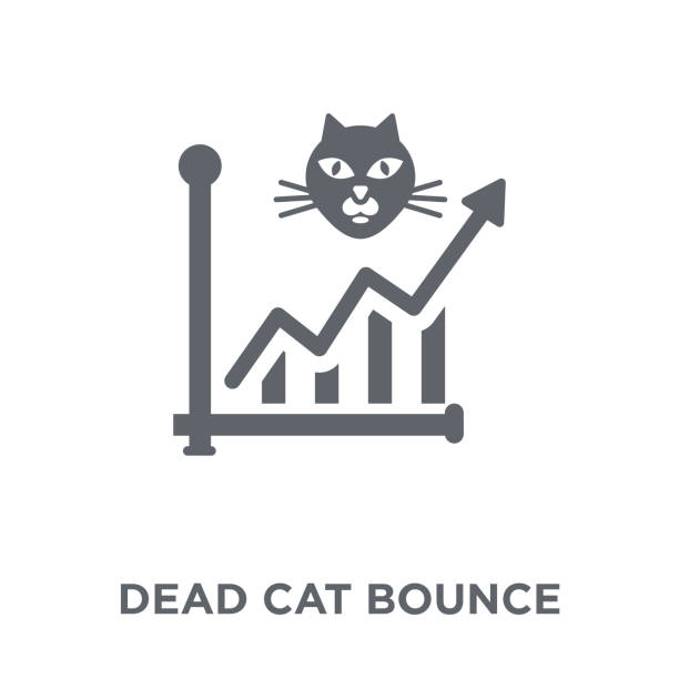 dead cat bounce